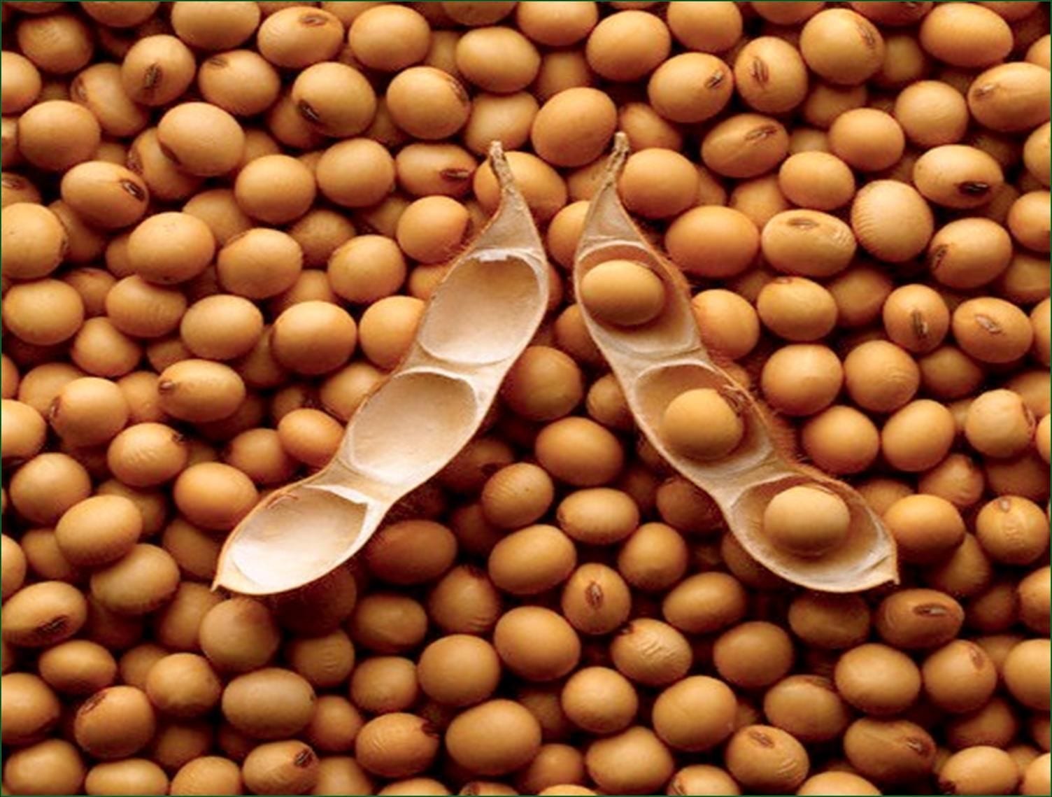 soybean Fermented Soy Product Intake Is Inversely Associated with the Development of High Blood Pressure.