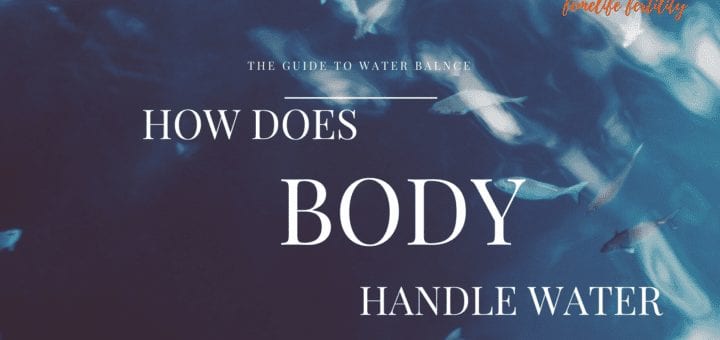 water metabolism