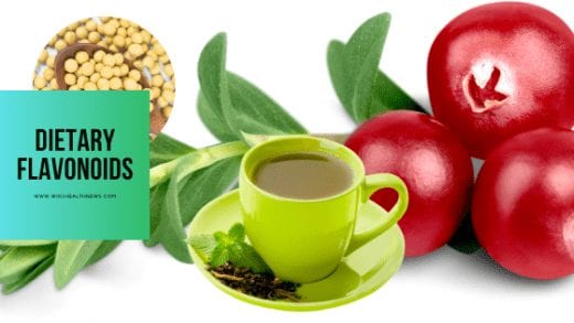 flavonoids food