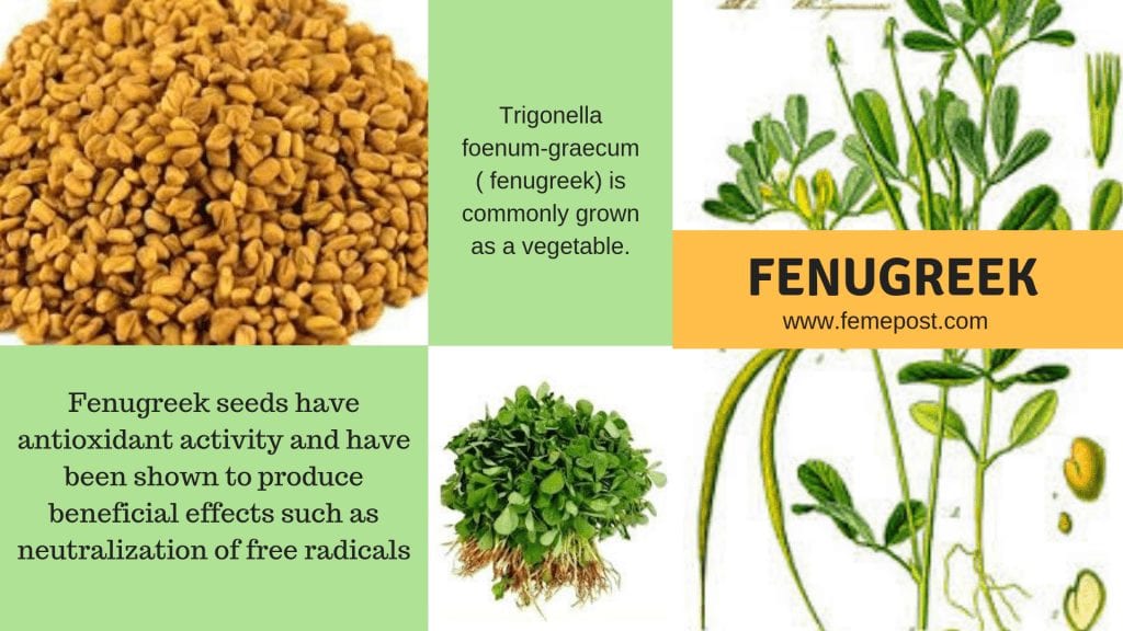 fenugreek seeds