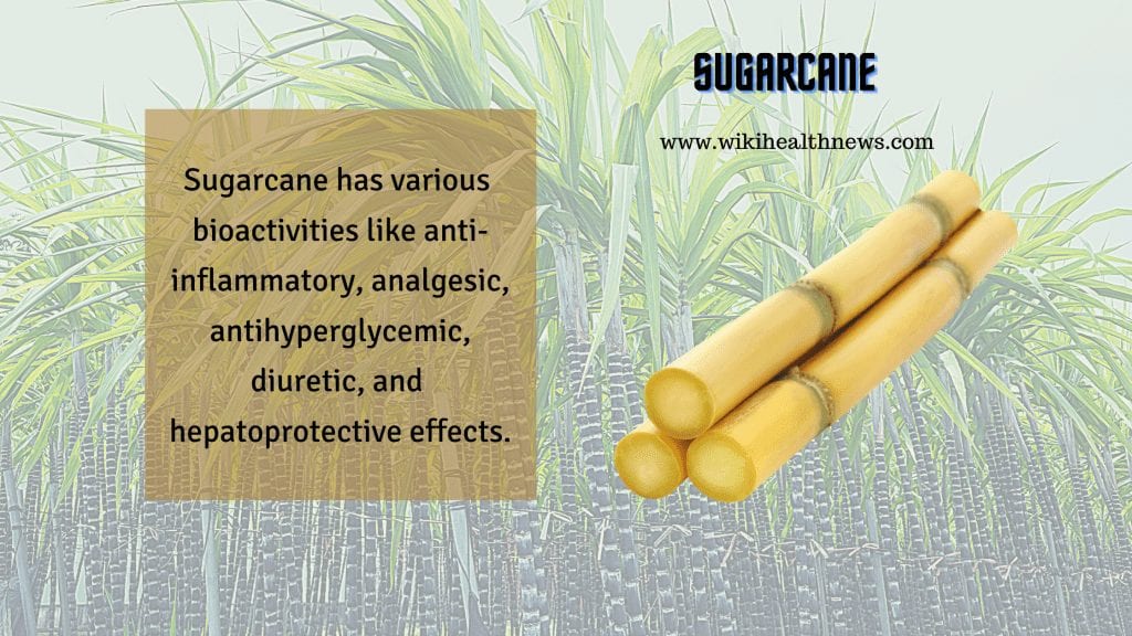 Amazing Benefits of Sugarcane Products | wiki Health News