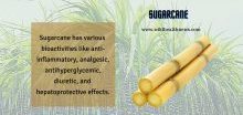 SUGARCANE