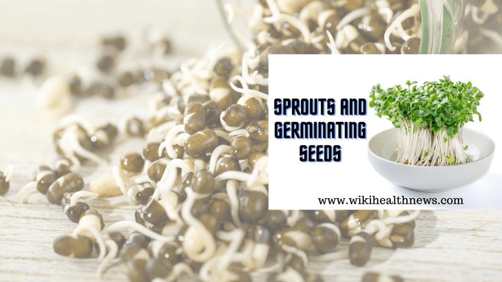 Sprouts