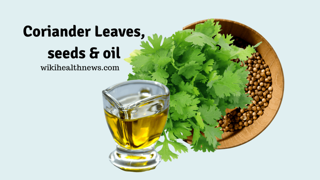 Benefits Of Coriander Leaves, Seeds & Oil wiki Health News