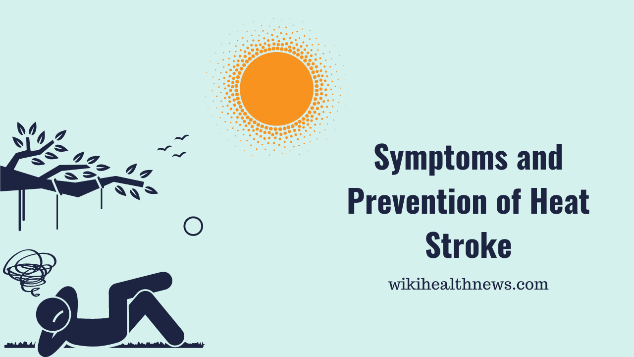 Heat Stroke Symptoms & Prevention Tips wiki Health News