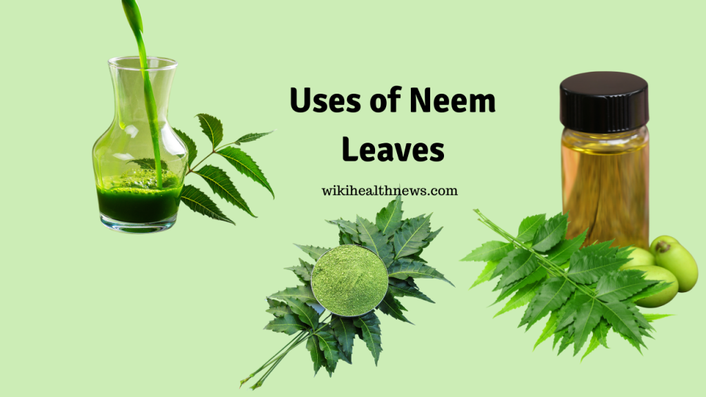 Neem Leaves