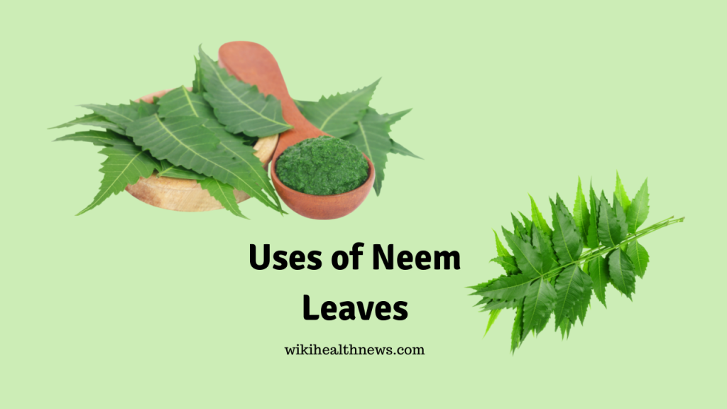 Uses Of Neem Leaves & Extracts For Health wiki Health News