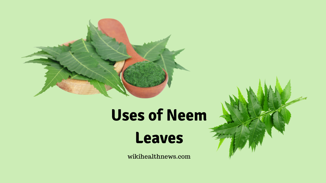 Neem Leaves