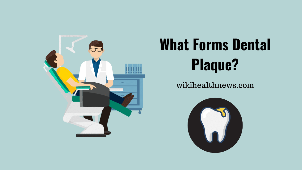 Dental plaque