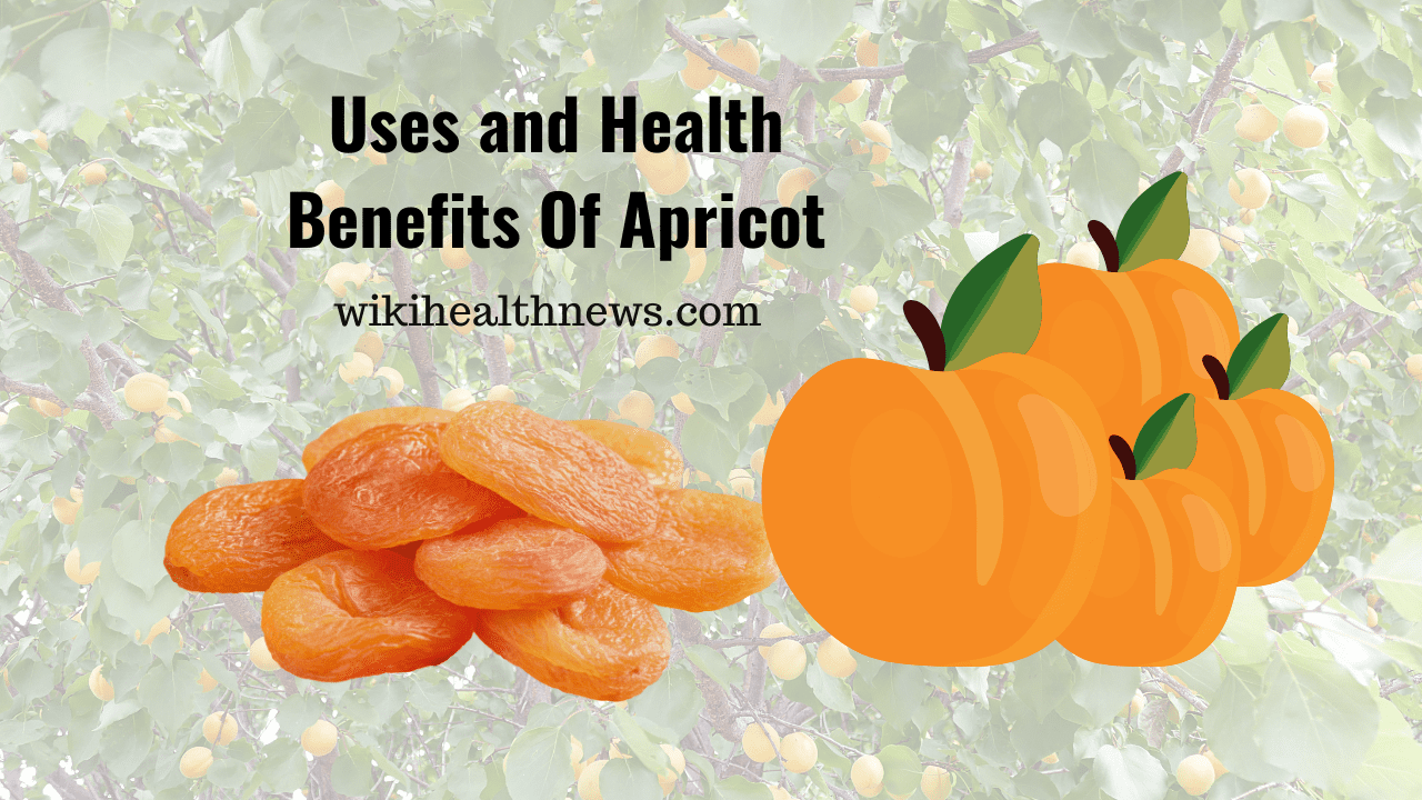 Apricot Uses