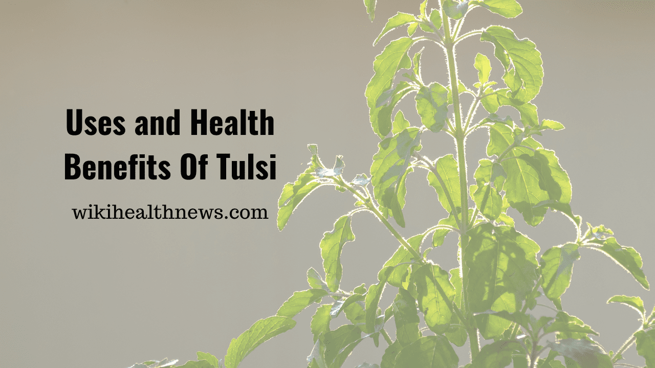 Tulsi uses