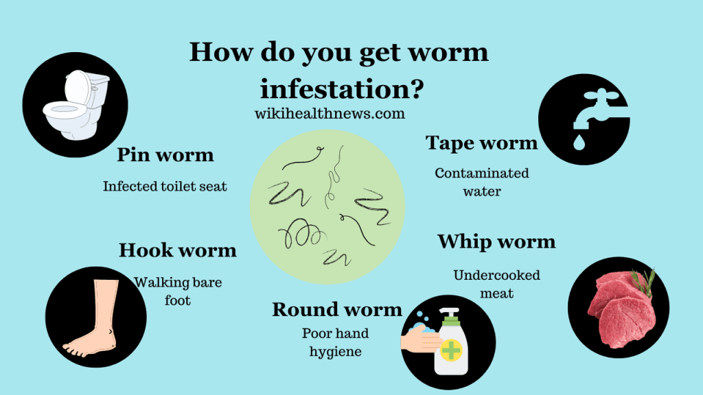 Worm Infestation