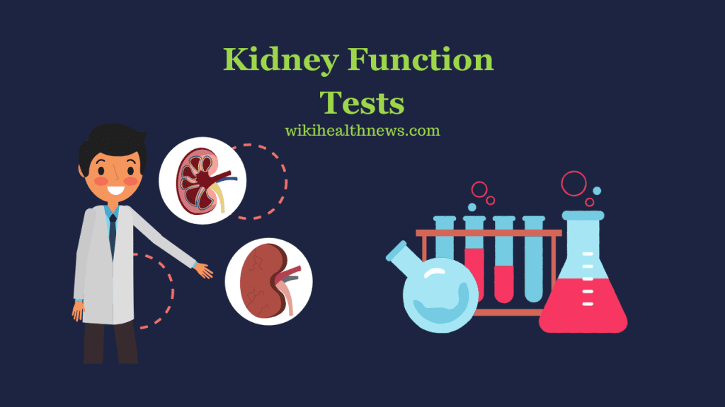 Kidney Function Tests