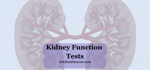 Kidney Function Tests