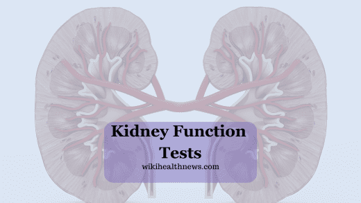 Kidney Function Tests