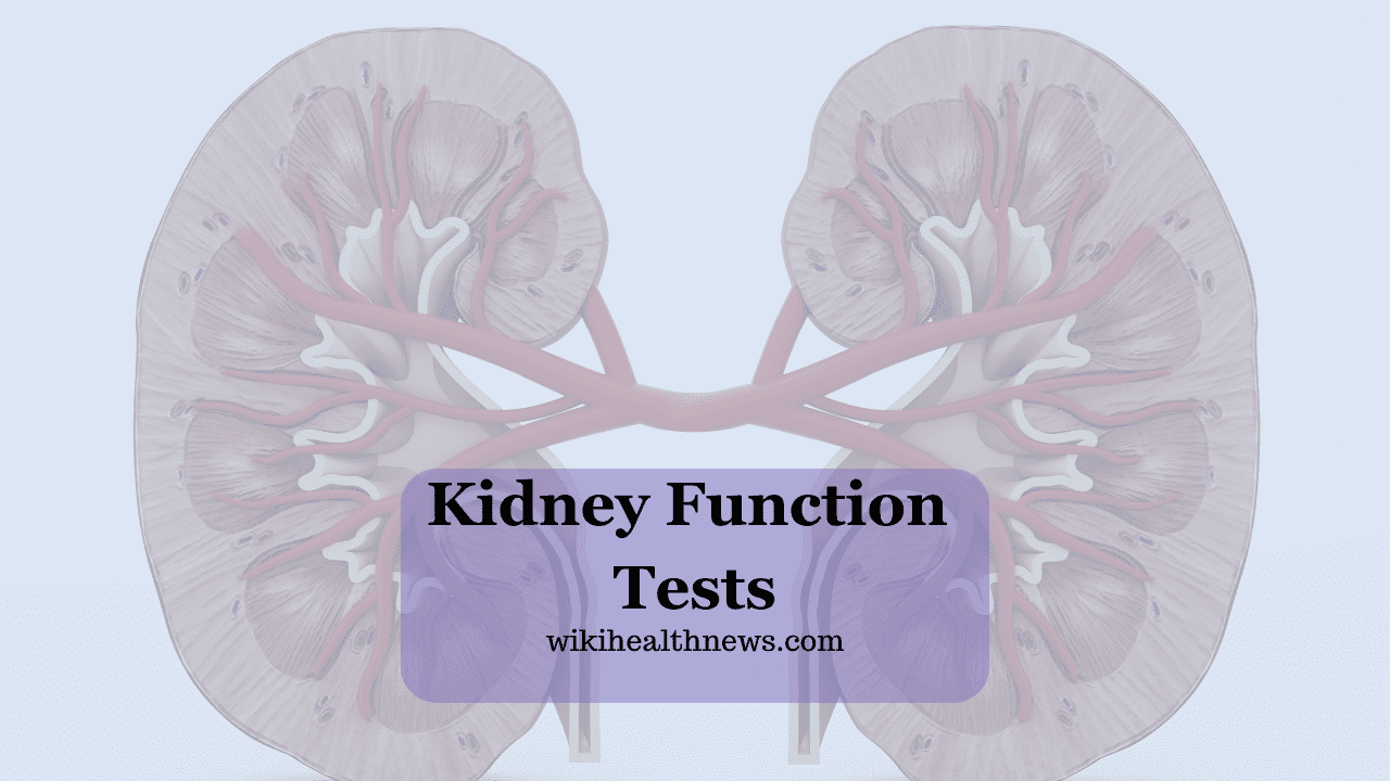 Kidney Function Tests