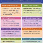 Science of sleep cycles: You should know