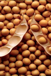 soybean Fermented Soy Product Intake Is Inversely Associated with the Development of High Blood Pressure.